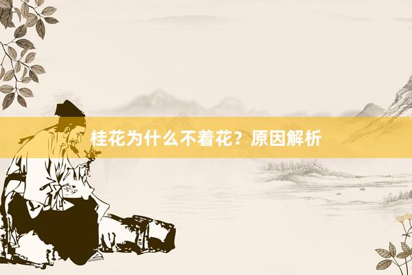 桂花为什么不着花？原因解析