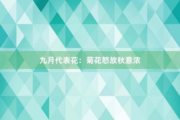 九月代表花:菊花怒放秋意浓