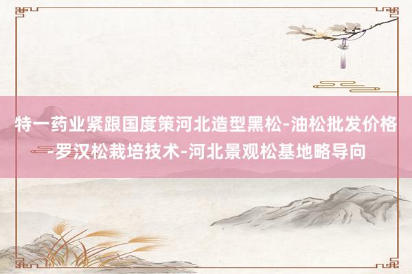 特一药业紧跟国度策河北造型黑松-油松批发价格-罗汉松栽培技术-河北景观松基地略导向